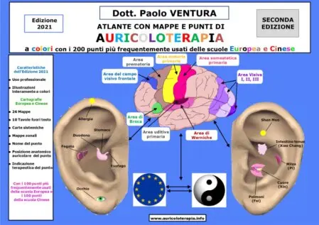 Scopri i libri di Auricoloterapia